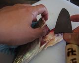 基本のアジの三枚おろし作り方7写真
