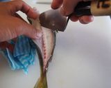 基本のアジの三枚おろし作り方19写真