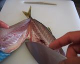 基本のアジの三枚おろし作り方14写真