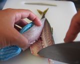 基本のアジの三枚おろし作り方13写真