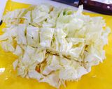 豆腐とキャベツでヘルシーソース焼きそば作り方1写真