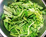 超簡単！みぶなの浅漬け作り方1写真