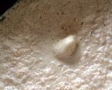 CaféFrappeコーヒーフラペチーノ作り方6写真