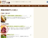 青梅で漬ける＊おばあちゃんの梅干し＊作り方31写真