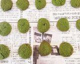 ⋆簡単⋆濃厚抹茶クッキー⋆作り方8写真