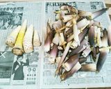 破竹の下処理と下茹で・お味噌汁作り方2写真