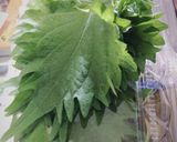 簡単ミニ春巻き①作り方3写真