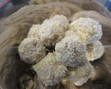 お弁当用ひとくちコロッケ作り方14写真