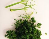 あったら便利なパセリのみじん切り作り方1写真