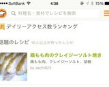 鶏もも肉のクレイジーソルト焼き作り方7写真