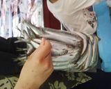 大量消費：うるめ鰯三昧作り方1写真