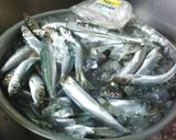大量消費：うるめ鰯三昧作り方2写真