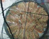 大量消費：うるめ鰯三昧作り方12写真