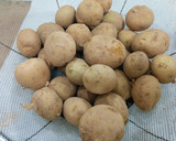 皮ごとほくほく！新じゃがフライ作り方1写真