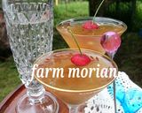 農園レシピ・梅酒ゼリー作り方4写真
