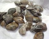 ニンジン香る☆アサリのバター炒め作り方1写真