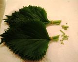 驚きの長持ち！大葉の保存法☆作り方1写真