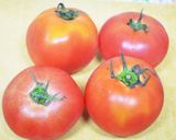 ＊イタリアのマンマ直伝☆万能トマトソース作り方1写真