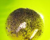 簡単5分 モヤシのサッパリ和え作り方2写真
