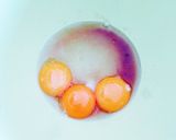 ＊fat＊バタークリーム作り方2写真