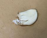 柚子胡椒の麻婆豆腐#わが家のスピードご飯作り方2写真
