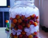 パープルクィーン梅シロップ作り方3写真