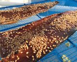自家製サバのみりん干し作り方6写真