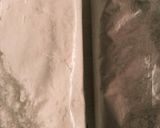 《フープロ》超～！簡単☆絞りだしクッキー作り方1写真