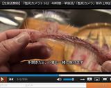 鰯フライ♪手開きでサクサク節約おかず!作り方9写真