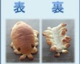 *ダンゴムシのパン*作り方6写真