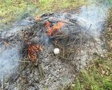 玉ねぎの野焼き作り方3写真