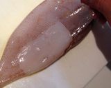 ☆イカとムール貝の旨味トマト缶煮込み☆作り方1写真