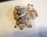 ☆イカとムール貝の旨味トマト缶煮込み☆作り方5写真