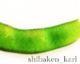 運動会お弁当簡単三段重箱盛り付け2015作り方9写真