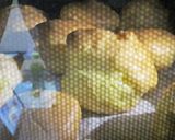 ［失敗しない！！］シュークリームの作り方作り方15写真