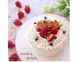 基本のジェノワーズ作り方11写真