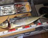 【釣食】シイラのムニエル作り方1写真