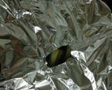 なすの炊いたん♪作り方6写真