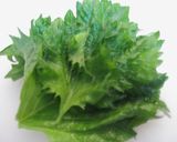 生姜の甘酢漬けとシソの香りご飯作り方1写真