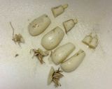 らっきょの甘酢漬け作り方3写真