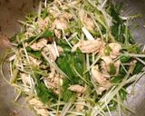 水菜とささみの冷製梅肉パスタ作り方6写真