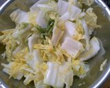 混ぜるだけ♪塩麹で簡単！ 白菜の浅漬け作り方3写真