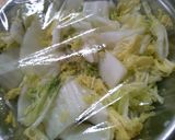混ぜるだけ♪塩麹で簡単！ 白菜の浅漬け作り方4写真