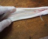 穴子の開き方作り方5写真