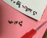 キャラ弁・セカオワぷれぜんと弁当作り方1写真