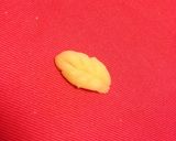 基本のマジパンのバラ作り方8写真