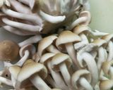 ビーフハヤシライス◆市販のルーで作り方7写真