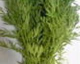 無農薬人参葉入り野菜健康ベーグル作り方1写真