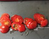 朝採り野菜かくれんぼ✿チーズリングバーグ作り方2写真
