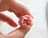 お弁当に＊定番お花卵焼き&お花ハム♡作り方16写真